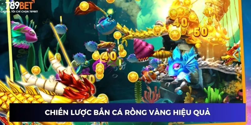 Chiến lược bắn cá rồng vàng hiệu quả