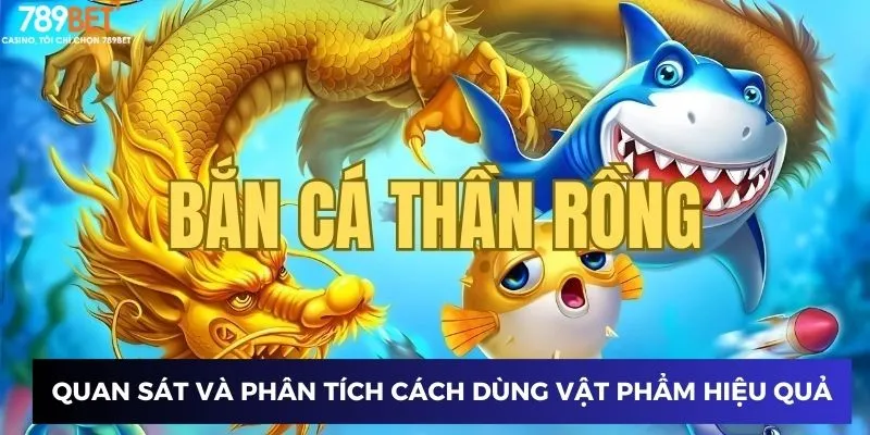 Quan sát và phân tích cách dùng vật phẩm hiệu quả