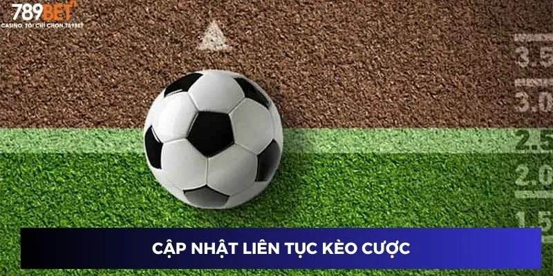 Hệ thống cập nhật liên tục cập nhật liên tục kèo cược
