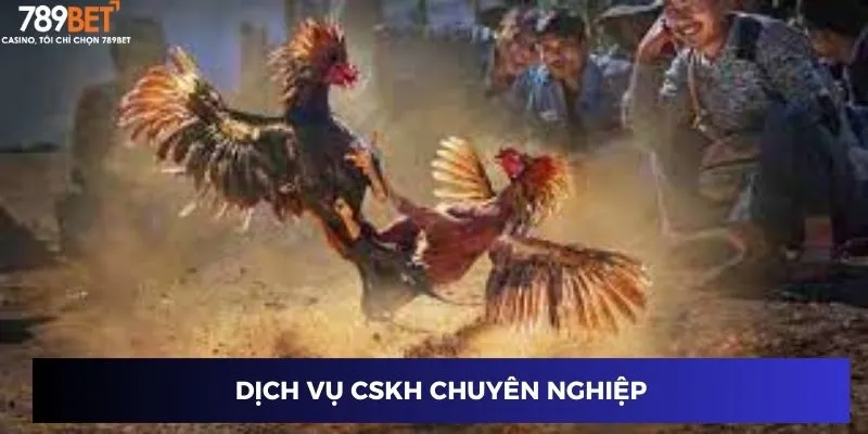 Dịch vụ CSKH chuyên nghiệp
