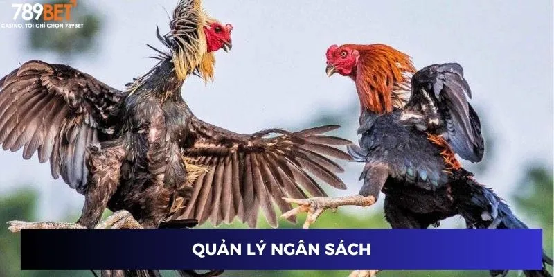Quản lý ngân sách