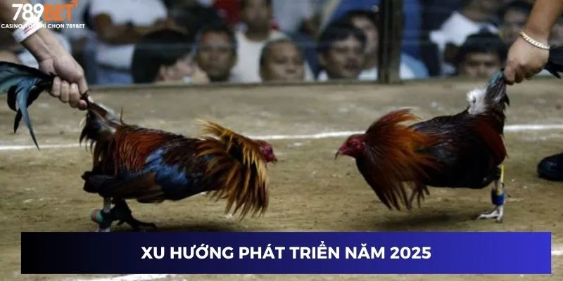 Xu hướng phát triển năm 2025
