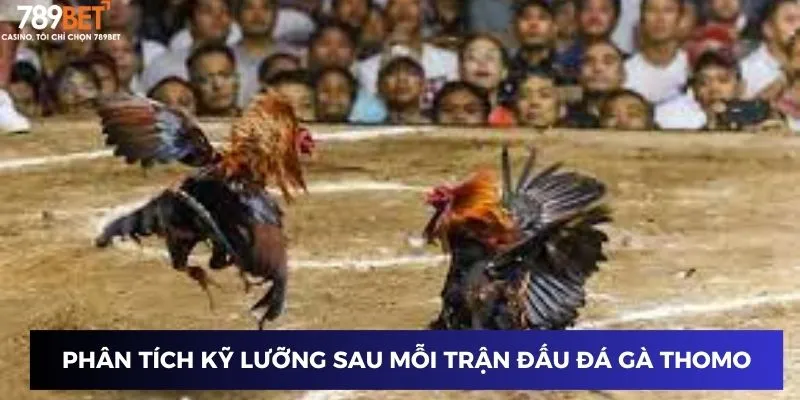 Phân tích kỹ lưỡng sau mỗi trận đấu đá gà Thomo