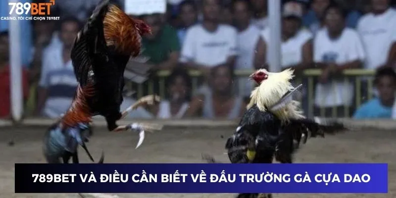 789BET và những điều cần biết về Đấu trường gà Cựa Dao