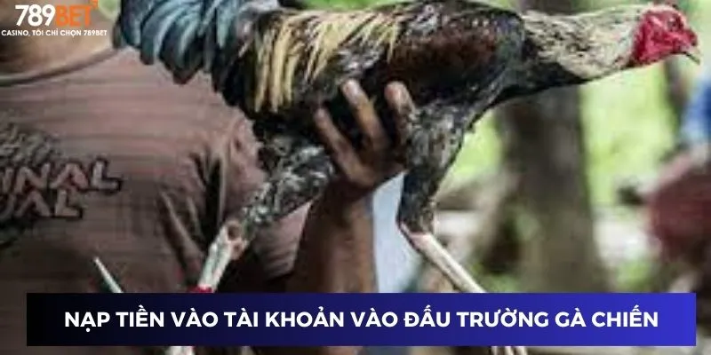 Nạp tiền vào tài khoản tham gia vào đấu trường gà chiến