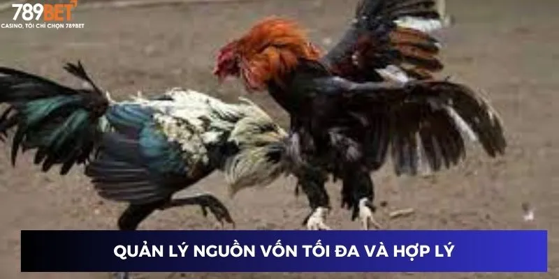 Quản lý nguồn vốn tối đa và hợp lý