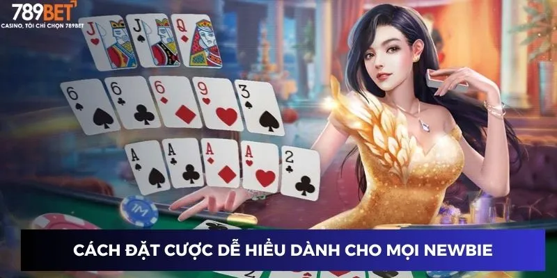 Cách đặt cược dễ hiểu dành cho mọi newbie
