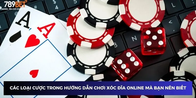 Các loại cược trong hướng dẫn chơi xóc đĩa online mà bạn nên biết