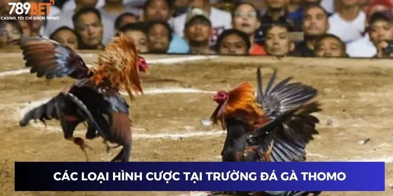 Các loại hình cược tại trường đá gà Thomo
