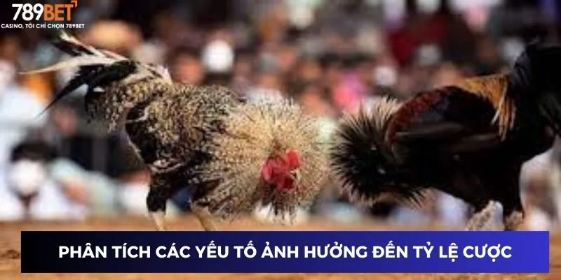 Phân tích các yếu tố ảnh hưởng đến tỷ lệ cược