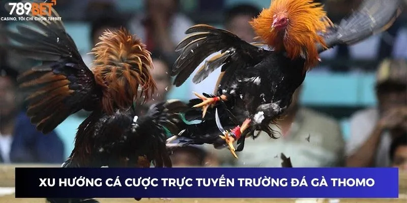 Xu hướng cá cược trực tuyến trường đá gà Thomo