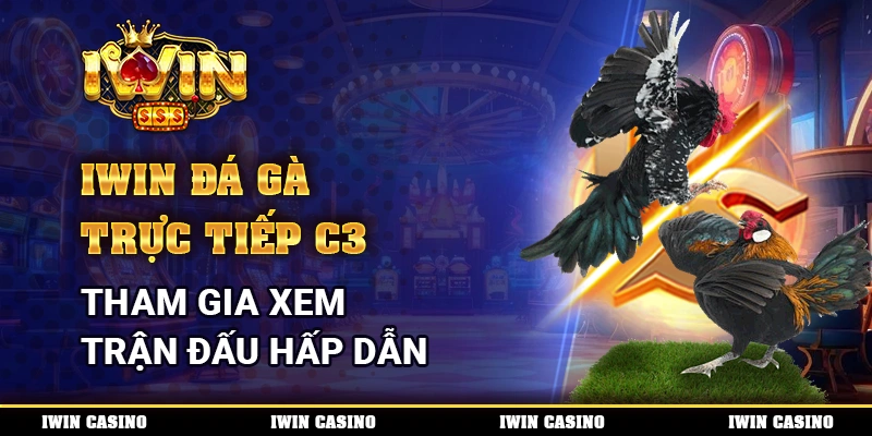 IWIN Đá Gà Trực Tiếp C3, Tham Gia Xem Trận Đấu Hấp Dẫn