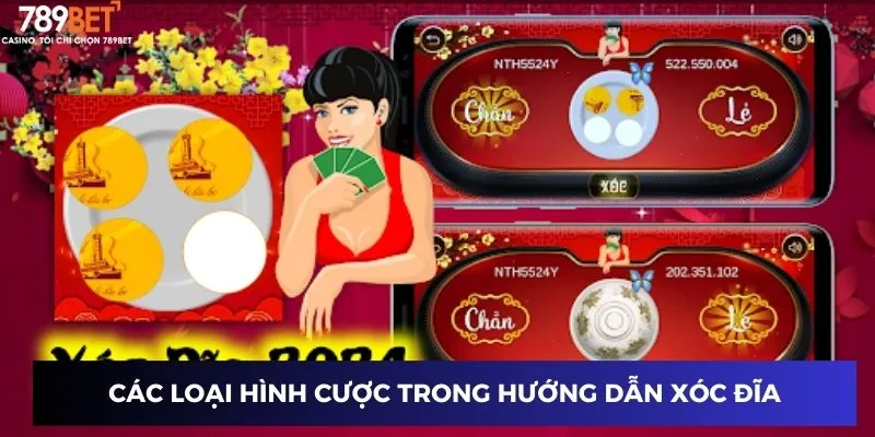 Hướng Dẫn Xóc Đĩa - Chinh Phục Chiến Lược Và Tỷ Lệ Thắng 2 Các loại hình cược trong hướng dẫn xóc đĩa