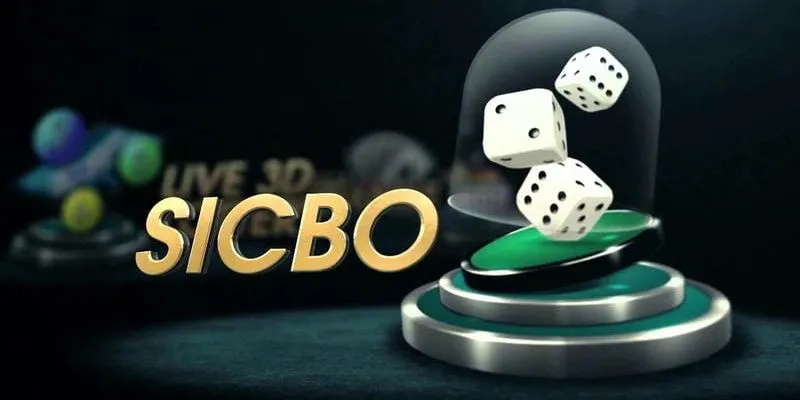 Mẹo chơi Sicbo online thắng chắc