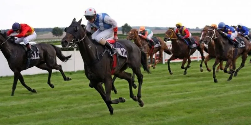 Quy tắc chơi cược đua ngựa từ A đến Z