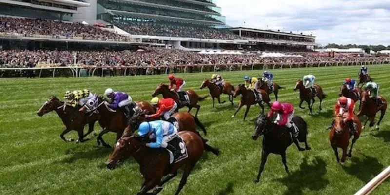 Tổng hợp các kèo cược đua ngựa phổ biến