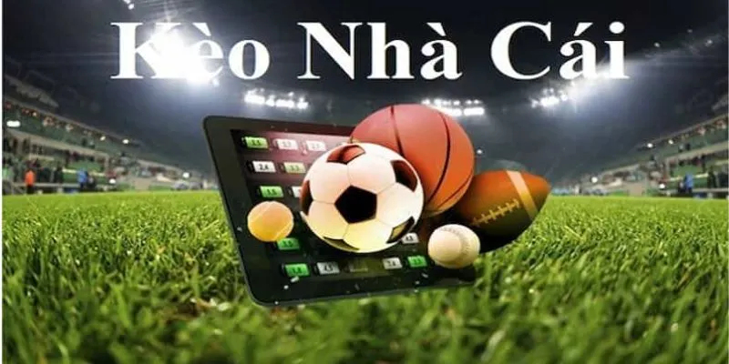 Tổng hợp các loại tỷ lệ kèo nhà cái phổ biến 