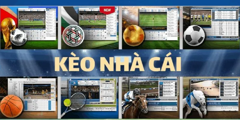 Hướng dẫn cách nhà cái điều chỉnh tỷ lệ kèo