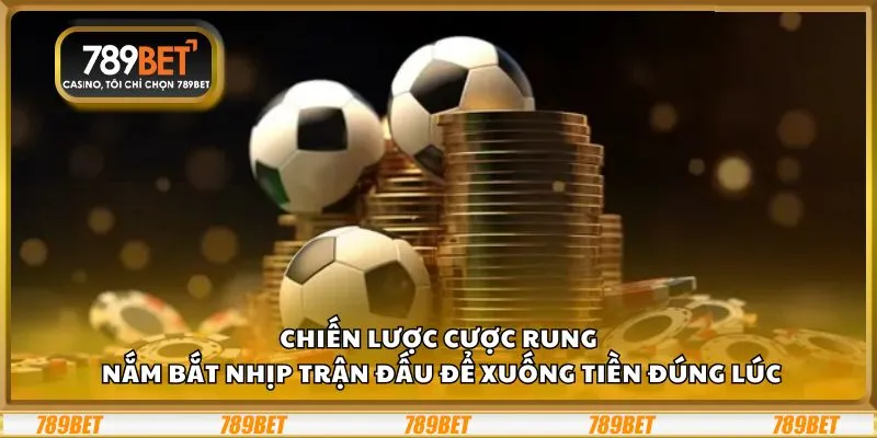 Chiến lược cược rung: Nắm bắt nhịp trận đấu để xuống tiền đúng lúc