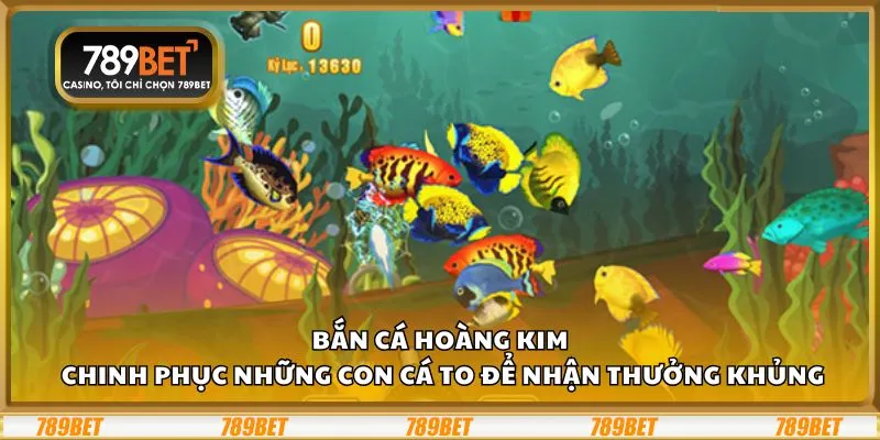 Bắn cá Hoàng Kim: Chinh phục những con cá to để nhận thưởng khủng