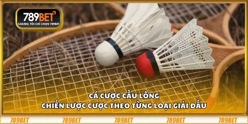 Cá cược cầu lông: Chiến lược cược theo từng loại giải đấu