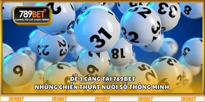 Đề 3 càng tại 789Bet: Những chiến thuật nuôi số thông minh